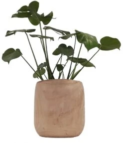 Mica Decorations Pia Bloempot - H31 X Ø31 Cm - Paulownia Hout - Lichtbruin -Camping Series Winkel 1033x1200 2