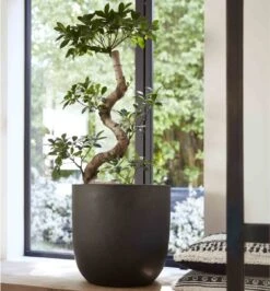 Capi Europe - Bloempot Bol Smooth NL - 35x34 - Zwart - Voor Binnen En Buiten - KBL932 -Camping Series Winkel 1116x1200 1