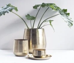 Gina Da - Bloempot - Karakter - Goud - Metaal - 15 Cm Hoog -Camping Series Winkel 1200x1027