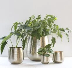 Gina Da - Bloempot - Karakter - Goud - Metaal - 15 Cm Hoog -Camping Series Winkel 1200x1142 1