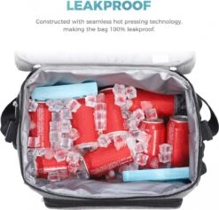 Lifewit 20L Koeltas | 20 Liter | Opvouwbaar | Koelbox-Koeltas | Isolatietas/ Picknicktas Voor Levensmiddelen / Grijs -Camping Series Winkel 1200x1153