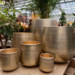 Merkloos Karakter Pot Alu Neo Gold ø40x40cm 9 Merkloos Karakter Pot Alu Neo Gold ø40x40cm -Camping Series Winkel 1200x1198 13