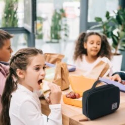 Brisby 4 Laags Geïsoleerde Koeltas - Lunchtas 1.5 Liter - Zwart 13 Brisby 4 Laags Geïsoleerde Koeltas - Lunchtas 1.5 Liter - Zwart -Camping Series Winkel 1200x1200 288