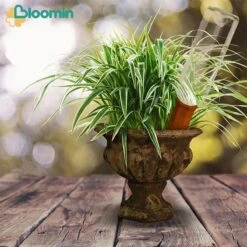 Bloomin Waterdruppelaar Van Terracotta - Waterdruppelaar Voor Planten - Druppelsysteem - Irrigatiesysteem - Watergeefsysteem - Bewateringssysteem - 8 Stuks -Camping Series Winkel 1200x1200 769