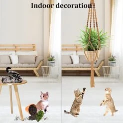 4 Stuks Luxe Jute Plantenhangers - Boho Handgeweven Katoen Hangpot Voor Binnen/Buiten - Hangende Bloempot Met Kralen - Macramé Touw/Koord Hangplant Houder - Bohemian Wandhanger Decoratie - Plant Hanger - Verticale Tuin Bloempothouder Planthanger 16 4 Stuks Luxe Jute Plantenhangers - Boho Handgeweven Katoen Hangpot Voor Binnen/Buiten - Hangende Bloempot Met Kralen - Macramé Touw/Koord Hangplant Houder - Bohemian Wandhanger Decoratie - Plant Hanger - Verticale Tuin Bloempothouder Planthanger -Camping Series Winkel 1200x1200 836