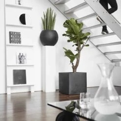 Capi Europe - Bloempot Vierkant Smooth NL - 50x50x50 - Zwart - Voor Binnen En Buiten - KBL904 -Camping Series Winkel 1200x1200 845