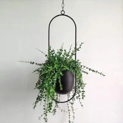 Be-Inspired® Hangende Bloempot Ovaal - Bloempot Binnen - Voor Hangplant – Plant Bloem Pot Met Opknoping – Plantenhanger - Plantenbak - Industrieel – Scandinavisch - Metaal - Zwart 11 Be-Inspired® Hangende Bloempot Ovaal - Bloempot Binnen - Voor Hangplant – Plant Bloem Pot Met Opknoping – Plantenhanger - Plantenbak - Industrieel – Scandinavisch - Metaal - Zwart -Camping Series Winkel 1200x1200 849