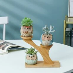 Luxe Bamboe Houten Boom Met 3 Keramiek Uil Bloempotten/Plantenpotten Op Standaard/Voet Voor Binnen En Buiten - Modern Design Bloempot/Plantenpot Op Poten/Pootjes-Plantenbak Mini Cactus Nep Plant Pot Houder - Kleine Bloembakken Plantenrek/Plantenkurk -Camping Series Winkel 1200x1200 853