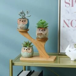 Luxe Bamboe Houten Boom Met 3 Keramiek Uil Bloempotten/Plantenpotten Op Standaard/Voet Voor Binnen En Buiten - Modern Design Bloempot/Plantenpot Op Poten/Pootjes-Plantenbak Mini Cactus Nep Plant Pot Houder - Kleine Bloembakken Plantenrek/Plantenkurk -Camping Series Winkel 1200x1200 854