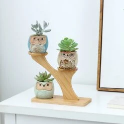 Luxe Bamboe Houten Boom Met 3 Keramiek Uil Bloempotten/Plantenpotten Op Standaard/Voet Voor Binnen En Buiten - Modern Design Bloempot/Plantenpot Op Poten/Pootjes-Plantenbak Mini Cactus Nep Plant Pot Houder - Kleine Bloembakken Plantenrek/Plantenkurk -Camping Series Winkel 1200x1200 855