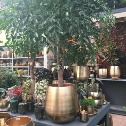 Merkloos Bloempot Karakter Goud - L -Camping Series Winkel 1200x1200 865