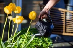 Xala - Gieter Doppio Groove 2L Olijfgrijs 7 Xala - Gieter Doppio Groove 2L Olijfgrijs -Camping Series Winkel 1200x799 46