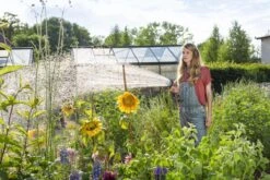 GARDENA - Comfort Broeskop - 5 Straalsoorten - Grijs -Camping Series Winkel 1200x800 113