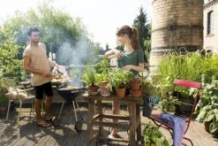 GARDENA - Terras Spiraalslang - 7.5 M Tuinslang - 9mm 13 GARDENA - Terras Spiraalslang - 7.5 M Tuinslang - 9mm -Camping Series Winkel 1200x800 127