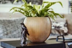 Capi Europe - Vaas Bol Groove XL - 63x51 - Goud - Bloempot Voor Binnen - Opening ⌀42 - GVGB271 -Camping Series Winkel 1200x800 152