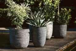 Capi Europe - Bloempot Bol Rib NL - 35x34 - Antraciet - Voor Binnen En Buiten - KOFZ932 -Camping Series Winkel 1200x800 153
