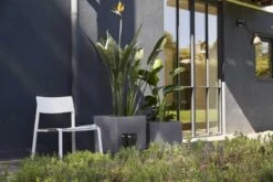 Capi Europe - Bloempot Vierkant Smooth NL - 50x50x50 - Zwart - Voor Binnen En Buiten - KBL904 -Camping Series Winkel 1200x800 156