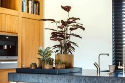 Capi Europe - Vaas Bol Groove XL - 39x33 - Goud - Bloempot Voor Binnen - Opening ⌀24 - GVGB270 -Camping Series Winkel 1200x800 160