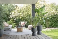 Elho Pure Coupe 41 - Bloempot Voor Binnen & Buiten - Ø 41.3 X H 57.9 Cm - Zwart/Zwart -Camping Series Winkel 1200x805 2