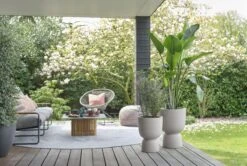 Elho Pure Coupe 35 - Bloempot Voor Binnen & Buiten - Ø 34.9 X H 49.0 Cm - Beige/Balanced Beige -Camping Series Winkel 1200x808 2