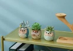 Luxe Bamboe Houten Boom Met 3 Keramiek Uil Bloempotten/Plantenpotten Op Standaard/Voet Voor Binnen En Buiten - Modern Design Bloempot/Plantenpot Op Poten/Pootjes-Plantenbak Mini Cactus Nep Plant Pot Houder - Kleine Bloembakken Plantenrek/Plantenkurk -Camping Series Winkel 1200x840