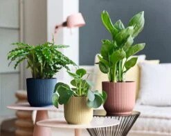 Elho Vibes Fold Rond Wielen 35 - Bloempot Voor Binnen - Ø 34.9 X H 32.4 Cm - Diepblauw -Camping Series Winkel 1200x956