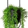Be-Inspired® Hangende Bloempot Ovaal - Bloempot Binnen - Voor Hangplant – Plant Bloem Pot Met Opknoping – Plantenhanger - Plantenbak - Industrieel – Scandinavisch - Metaal - Zwart -Camping Series Winkel 314x1200