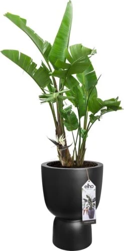 Elho Pure Coupe 41 - Bloempot Voor Binnen & Buiten - Ø 41.3 X H 57.9 Cm - Zwart/Zwart -Camping Series Winkel 595x1200 3