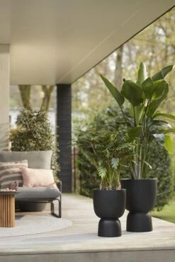 Elho Pure Coupe 41 - Bloempot Voor Binnen & Buiten - Ø 41.3 X H 57.9 Cm - Zwart/Zwart -Camping Series Winkel 800x1200 55