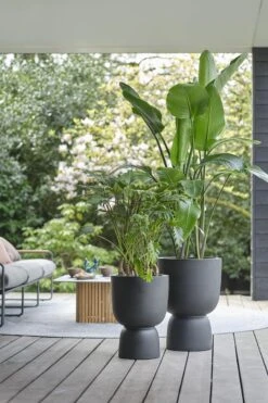 Elho Pure Coupe 41 - Bloempot Voor Binnen & Buiten - Ø 41.3 X H 57.9 Cm - Zwart/Zwart -Camping Series Winkel 800x1200 56