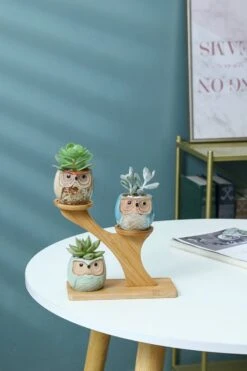 Luxe Bamboe Houten Boom Met 3 Keramiek Uil Bloempotten/Plantenpotten Op Standaard/Voet Voor Binnen En Buiten - Modern Design Bloempot/Plantenpot Op Poten/Pootjes-Plantenbak Mini Cactus Nep Plant Pot Houder - Kleine Bloembakken Plantenrek/Plantenkurk -Camping Series Winkel 800x1200 64