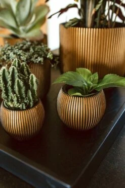 Capi Europe - Vaas Bol Groove XL - 39x33 - Goud - Bloempot Voor Binnen - Opening ⌀24 - GVGB270 -Camping Series Winkel 800x1200 65