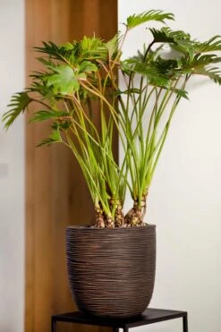 Capi Europe - Bloempot Bol Rib NL - 43x41 - Antraciet - Voor Binnen En Buiten - KOFZ933 -Camping Series Winkel 800x1200 66