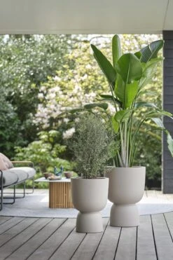 Elho Pure Coupe 41 - Bloempot Voor Binnen & Buiten - Ø 41.3 X H 57.9 Cm - Beige/Balanced Beige -Camping Series Winkel 800x1200 68