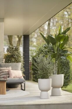 Elho Pure Coupe 41 - Bloempot Voor Binnen & Buiten - Ø 41.3 X H 57.9 Cm - Beige/Balanced Beige -Camping Series Winkel 800x1200 70