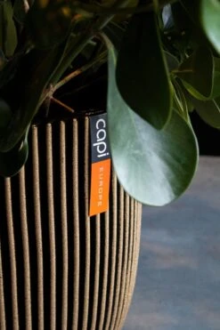 Camping Series Winkel -Camping Series Winkel 800x1200 71