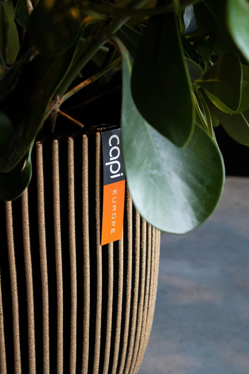 Capi Europe - Vaas Elegant Laag Groove NL - 46x58 - Goud - Voor Binnen En Buiten - KGVGB783 4 Capi Europe - Vaas Elegant Laag Groove NL - 46x58 - Goud - Voor Binnen En Buiten - KGVGB783 - Afbeelding 2