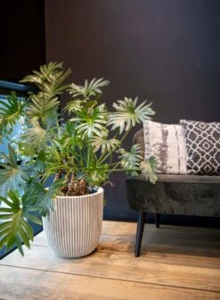 Capi Europe - Vaas Elegant Laag Groove NL - 46x58 - Goud - Voor Binnen En Buiten - KGVGB783 14 Capi Europe - Vaas Elegant Laag Groove NL - 46x58 - Goud - Voor Binnen En Buiten - KGVGB783 -Camping Series Winkel 883x1200