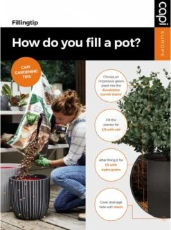 Capi Europe - Bloempot Bol Smooth NL - 35x34 - Zwart - Voor Binnen En Buiten - KBL932 -Camping Series Winkel 892x1200