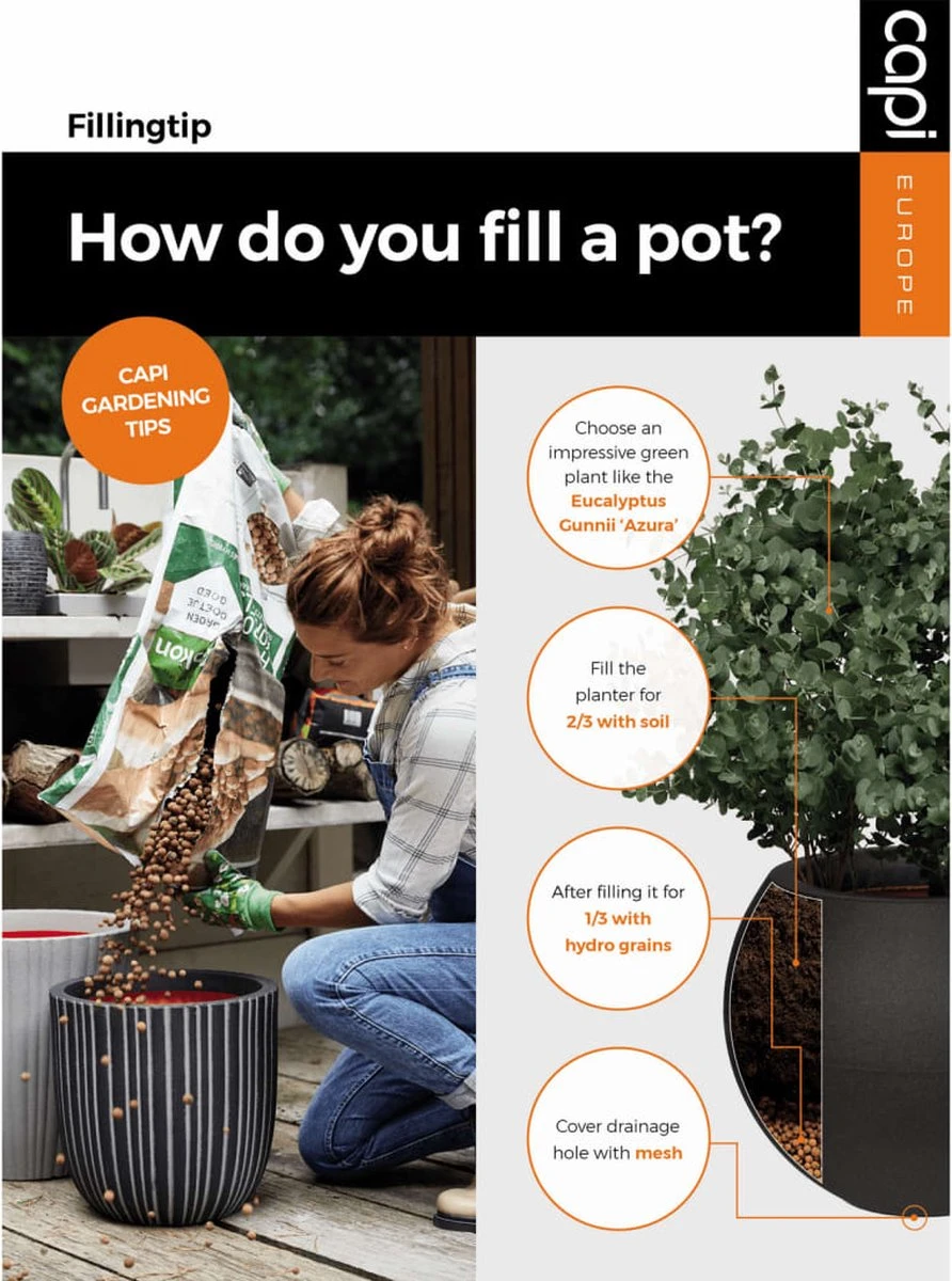 Capi Europe - Vaas Elegant Laag Groove NL - 46x58 - Goud - Voor Binnen En Buiten - KGVGB783 7 Capi Europe - Vaas Elegant Laag Groove NL - 46x58 - Goud - Voor Binnen En Buiten - KGVGB783 - Afbeelding 5