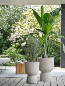 Elho Pure Coupe 35 - Bloempot Voor Binnen & Buiten - Ø 34.9 X H 49.0 Cm - Beige/Balanced Beige -Camping Series Winkel 900x1200 12