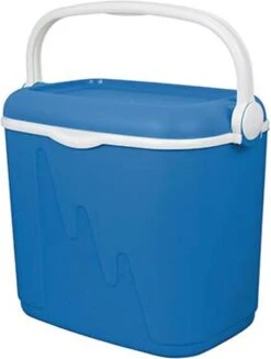 Curver Koelbox - Blauw - 32 Liter -Camping Series Winkel 906x1200 1