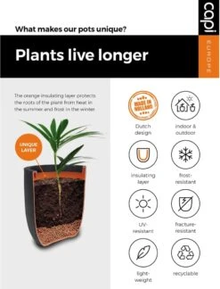 Capi Europe - Bloempot Vierkant Smooth NL - 50x50x50 - Zwart - Voor Binnen En Buiten - KBL904 -Camping Series Winkel 916x1200 1