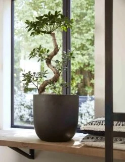 Capi Europe - Bloempot Bol Smooth NL - 35x34 - Zwart - Voor Binnen En Buiten - KBL932 -Camping Series Winkel 923x1200