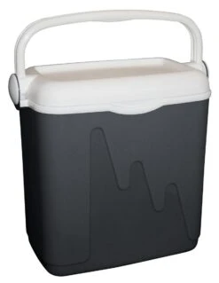 Curver Koelbox - 20L - Grijs - Isolatiekoelbox